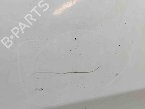 Right front door FORD TRANSIT CUSTOM V362 Van (FY, FZ) 2.0 EcoBlue mHEV | BP29730661C3 