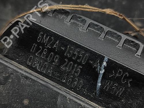 Tailgate trim FORD TRANSIT CUSTOM V362 Bus (F3) 2.2 TDCi | BP31835005C151 