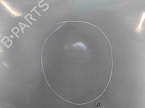 Hood VOLVO S40 II (544) T5 | BP29637516C1 