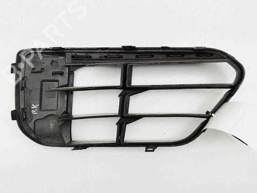 Grille BMW X1 (F48) sDrive 18 d | BP29730977C40 