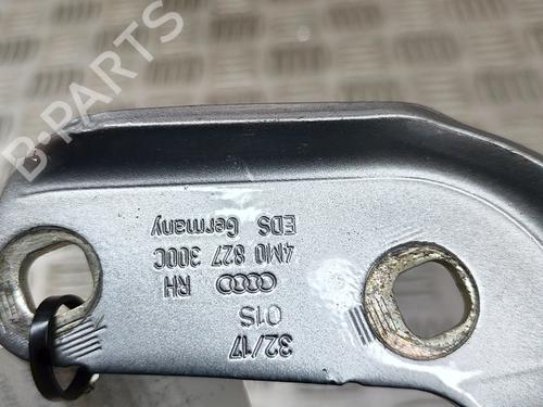 Hinge/Door check strap AUDI Q7 (4MB, 4MG, 4MQ) 3.0 TDI quattro | BP26405564C146 