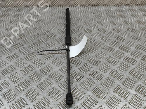 Tailgate lift support AUDI A1 Sportback (GBA) 25 TFSI | BP19645096C138 