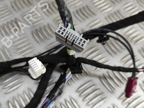 Wiring harness TESLA MODEL S (5YJS) P100D AWD | BP28497969E16 