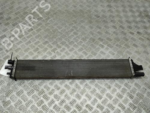 Used Water radiator OPEL MOVANO B Van (X62) 2.3 CDTI FWD (FV) (163 hp) 25219534