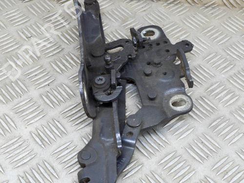 Hinge/Door check strap BMW 3 (F30, F80) 320 d | BP14643855C146 