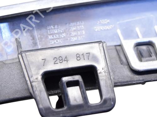 Grill FORD USA MUSTANG Coupe 5.0 302 | BP30256420C40