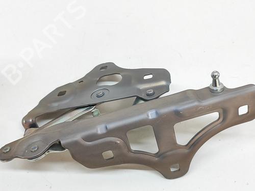 Hinge/Door check strap MERCEDES-BENZ B-CLASS Sports Tourer (W245) B 180 CDI (245.207) | BP28688388C146 