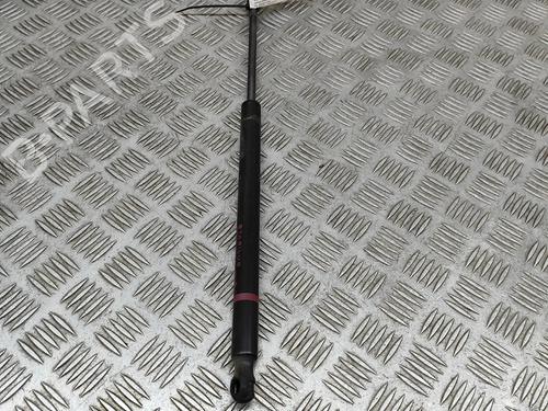 Used Tailgate lift support Tailgate lift support CHEVROLET TRAILBLAZER (KC_) 4.2 AWD (279 hp) 24818745 24818745