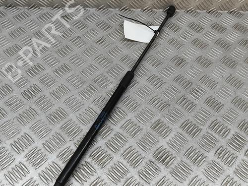 Hood lift support VW SHARAN (7N1, 7N2) 2.0 TDI | BP27645049C139 