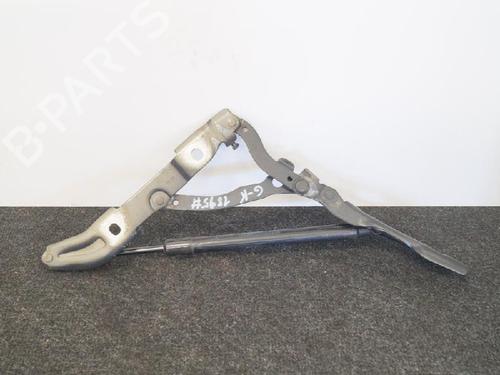 Hinge/Door check strap BMW 3 (E90) 325 i | BP14657836C146 