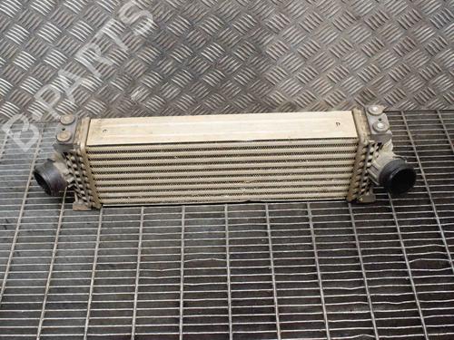Intercooler FORD TRANSIT V363 Platform/Chassis (FED, FFD) 2.0 EcoBlue (130 hp) 28387758