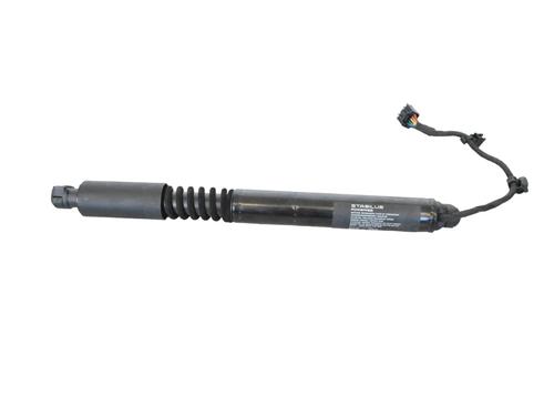 Used Hinge/Door check strap Hinge/Door check strap TESLA MODEL X (5YJX) P100D AWD (772 hp) 33366031 33366031