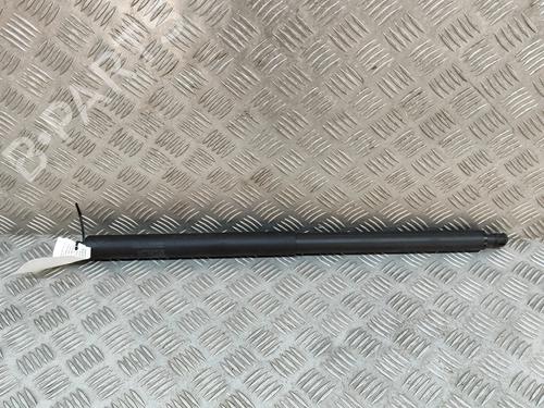 tailgate-lift-support-tesla-model-y-5yjy-2019-33363560 main image