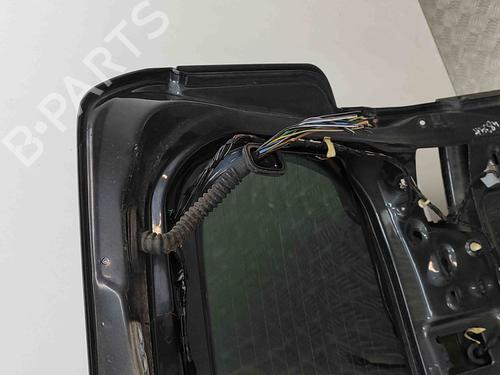 Tailgate FORD S-MAX (WA6) 2.0 TDCi | BP29752860C6 