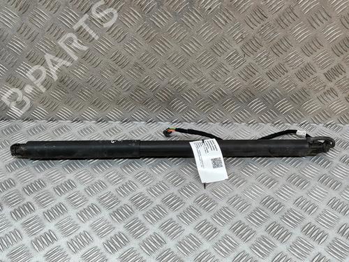 Gasdæmper bagklap PORSCHE PANAMERA (971) 3.0 (97AAA1, 97BAA1) (330 hp) 23562050