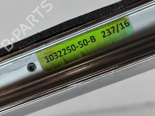 Door moulding trim TESLA MODEL X (5YJX) 90D AWD | BP20675732C150 