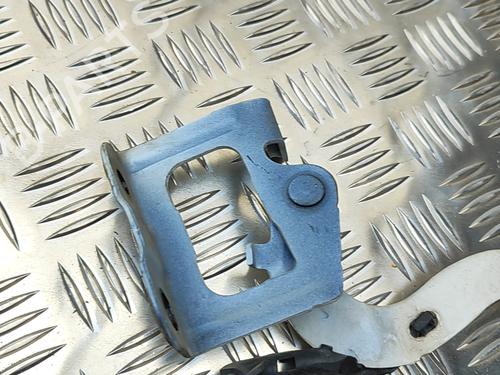 Hinge/Door check strap TOYOTA PRIUS (_W3_) 1.8 Hybrid (ZVW30) | BP28956177C146 
