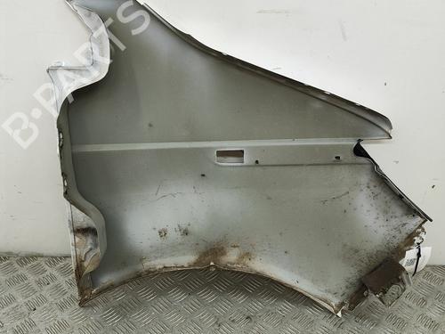 Left front fenders VW TRANSPORTER T6 Van (SGA, SGH, SHA, SHH) 2.0 TDI | BP29920601C41