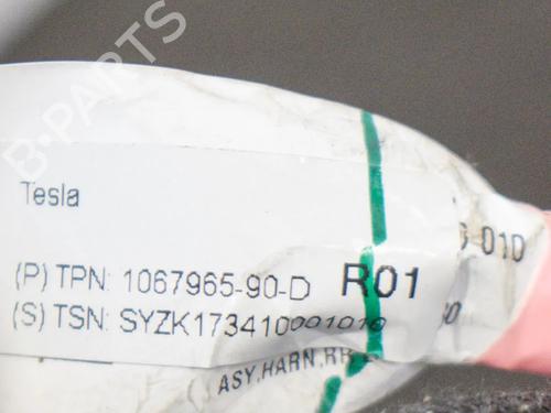 Wiring harness TESLA MODEL 3 (5YJ3) EV | BP27747831E16 