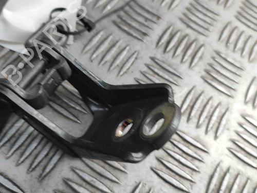 Hinge/Door check strap NISSAN ARIYA (FE0) EV e-4ORCE | BP29337063C146 