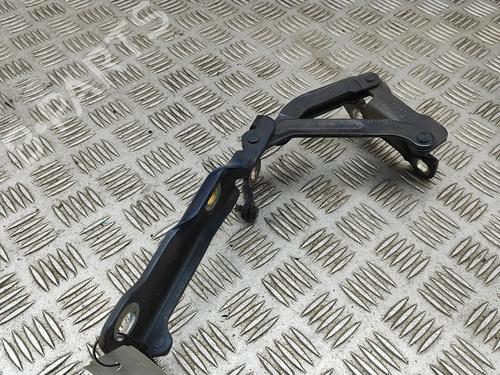 Hinge/Door check strap JAGUAR XJ (X350, X358) D 2.7 | BP31021257C146