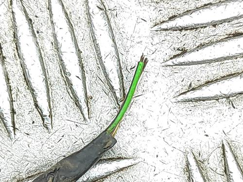 Electronic module BMW X3 (G01, F97, G08) iX3 | BP30924618M83 - Image 10