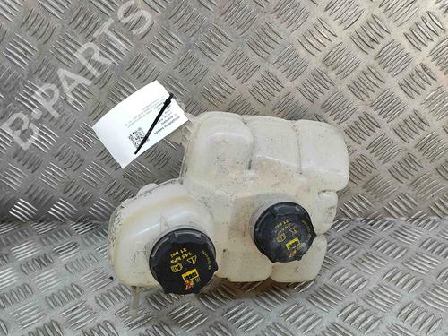 Used Expansion tank FORD TRANSIT CONNECT V408 Box Body/MPV 1.5 TDCi (120 hp) 18164887