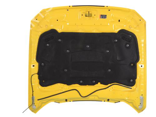 Hood FORD USA MUSTANG Convertible 5.0 V8 | BP30242025C1