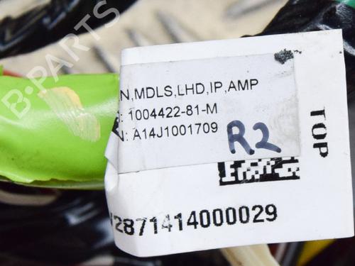 Wiring harness TESLA MODEL S (5YJS) P85 | BP14617984E16 
