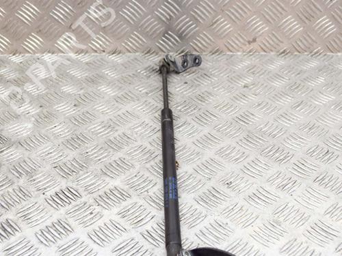 Hood lift support TESLA MODEL S (5YJS) 75 | BP14632266C139 