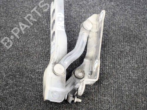 Used Hinge/Door check strap SKODA OCTAVIA II (1Z3) 1.6 TDI (105 hp) 14665915