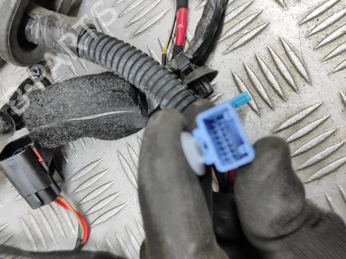 Wiring harness TESLA MODEL Y (5YJY) EV Performance All-wheel Drive | BP28559645E16