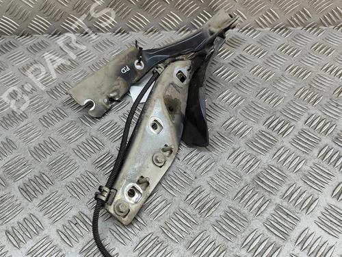 Used Hinge/Door check strap PEUGEOT 407 Coupe (6C_) 3.0 V6 (211 hp) 27433707