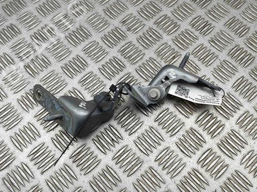 Used Hinge/Door check strap FORD KUGA III (DFK) 2.5 Duratec Plug-in-Hybrid (224 hp) 29752968