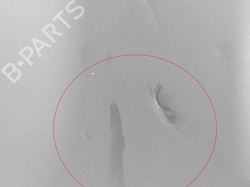 Other TESLA MODEL S (5YJS) 75 | BP14620018O1 - Image 5