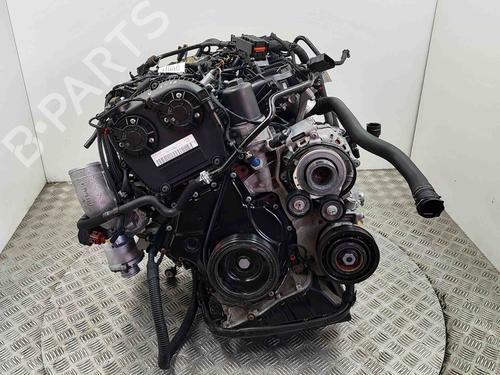 Motor AUDI A5 (F53, F5P) 35 TFSI Mild Hybrid | BP28434679M1