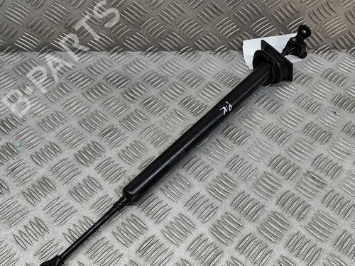 Hinge/Door check strap PORSCHE PANAMERA (970) 3.6 4 | BP15910161C146 