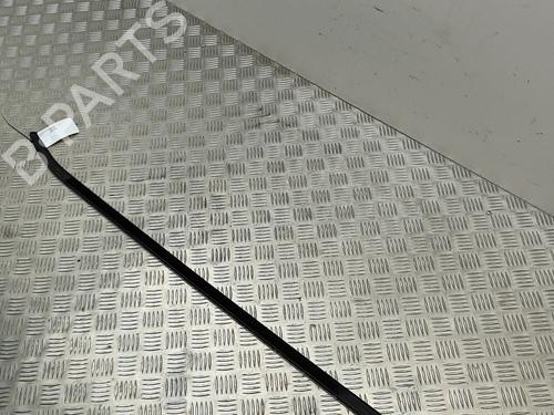 Door moulding trim BMW 7 (F01, F02, F03, F04) 730 d | BP18314119C150 