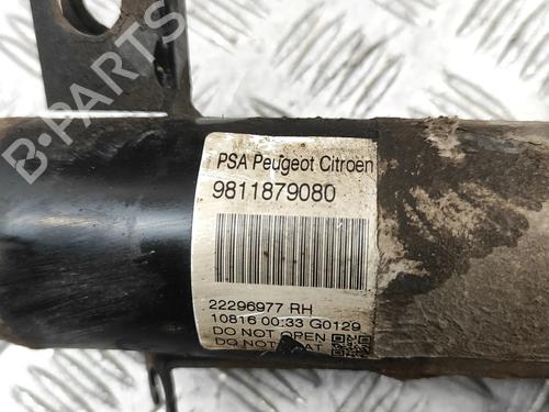 Right front shock absorber CITROËN C4 CACTUS 1.6 BlueHDi 100 | BP33375854M17  - Image 7