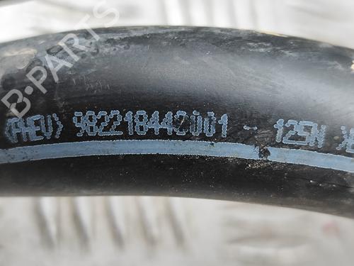 Pipe PEUGEOT 508 II (FB_, FH_, F3_) Hybrid 225 (F35GQU) | BP29975417M125 