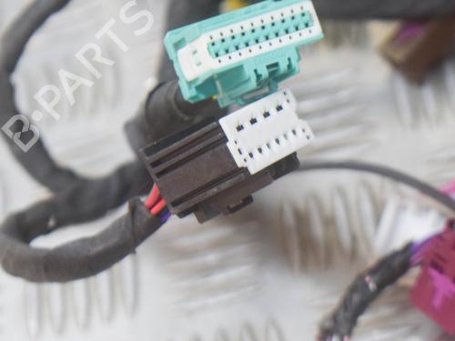 Wiring harness TESLA MODEL S (5YJS) P100D AWD | BP14623656E16 