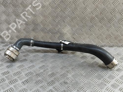 Used Pipe NISSAN JUKE (F16_) DIG-T 117 (117 hp) 28433462