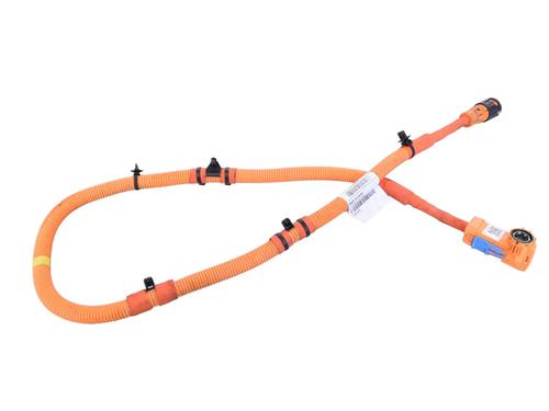 Faisceau de câbles POLESTAR POLESTAR 2 (534) EV (408 hp) 30253031