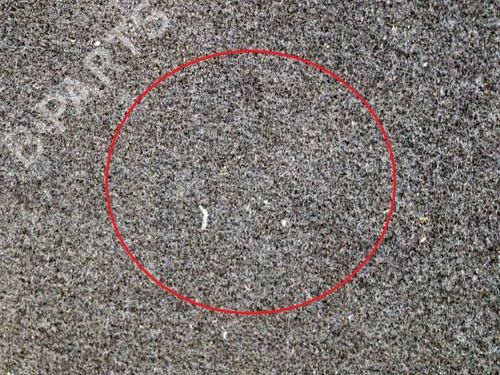 Rear parcel shelf BMW 3 (G20, G80, G28) 330 e Plug-in-Hybrid xDrive | BP27758057C85  - Image 6