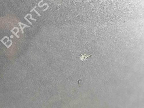 Left front door NISSAN ARIYA (FE0) EV e-4ORCE | BP29392265C2 