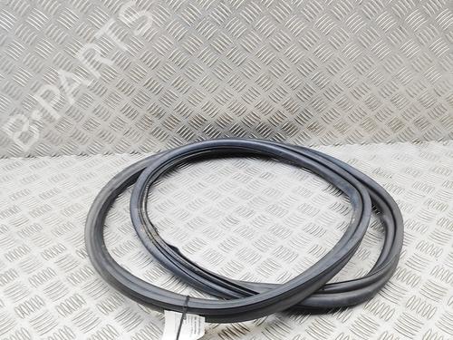 Gummiliste TESLA MODEL 3 (5YJ3) EV | BP36327164C142 - Image 3