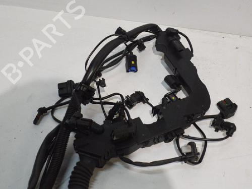 Wiring harness BMW X6 (E71, E72) xDrive 30 d | BP14657457E16 