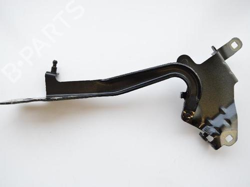 Hinge/Door check strap RENAULT SCÉNIC III (JZ0/1_) 1.6 dCi (JZ00, JZ12) | BP30232753C146 