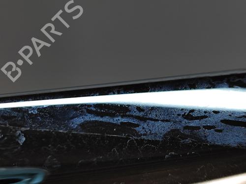 Door moulding trim TESLA MODEL X (5YJX) 90D AWD | BP20675732C150 