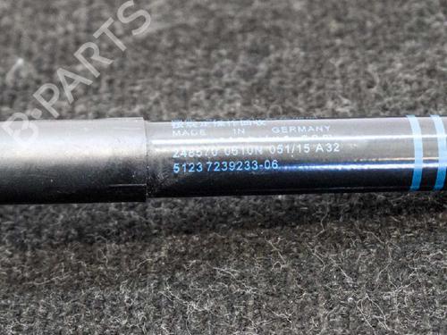 Hood lift support BMW 1 (F20) 120 d | BP14667239C139